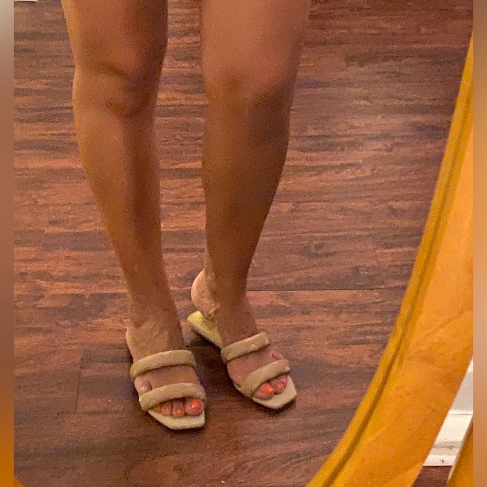 Alexander Birman Slide sandals